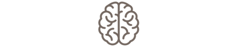 Gedächtnis & Konzentration