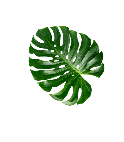 Kollagen-Formel - 30 Portionen