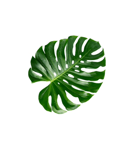 Kollagen-Formel - 30 Portionen