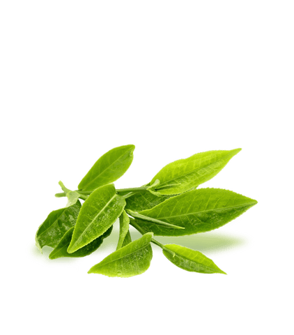 HARMONY - Die Gute Laune Formel mit Probiotika - 30 Portionen